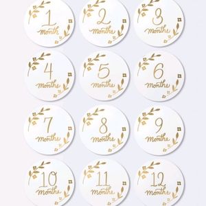 🆕️Cloud Island Baby Milestone Cards-Luxe White & Gold-Set of 6